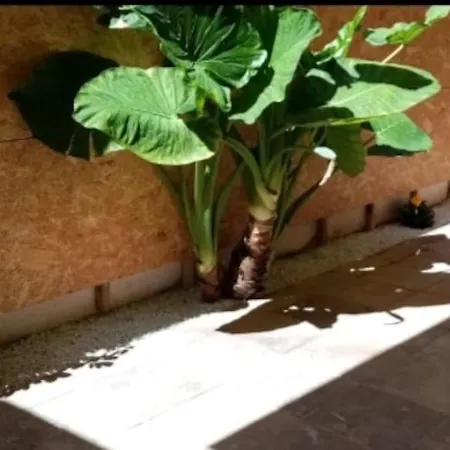 Al Lado Playa Apartment Playa de Gandia